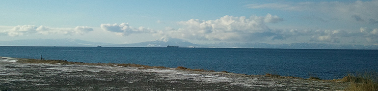 噴火湾の浜辺